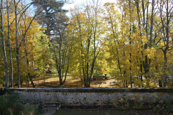 Parc en automne