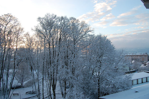 Parc en hiver